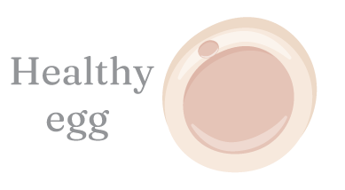healthy egg