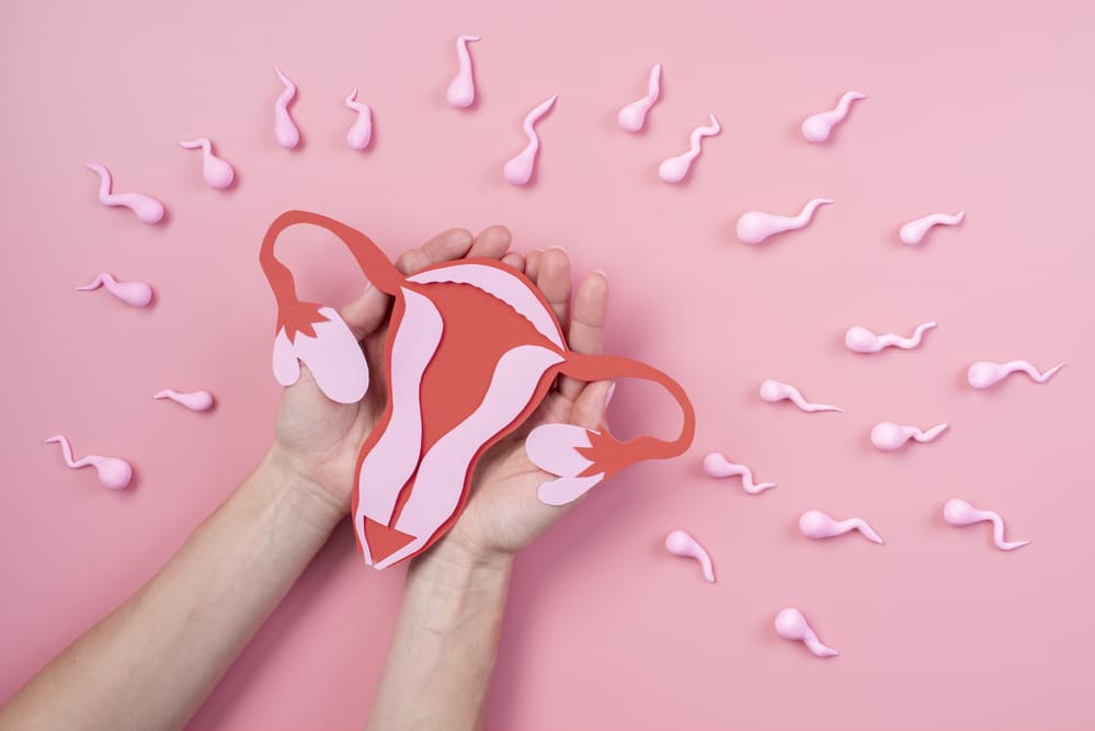 Polycystic Ovary Syndrome (PCOS) and Fertility: How IVF MORE® Can Help