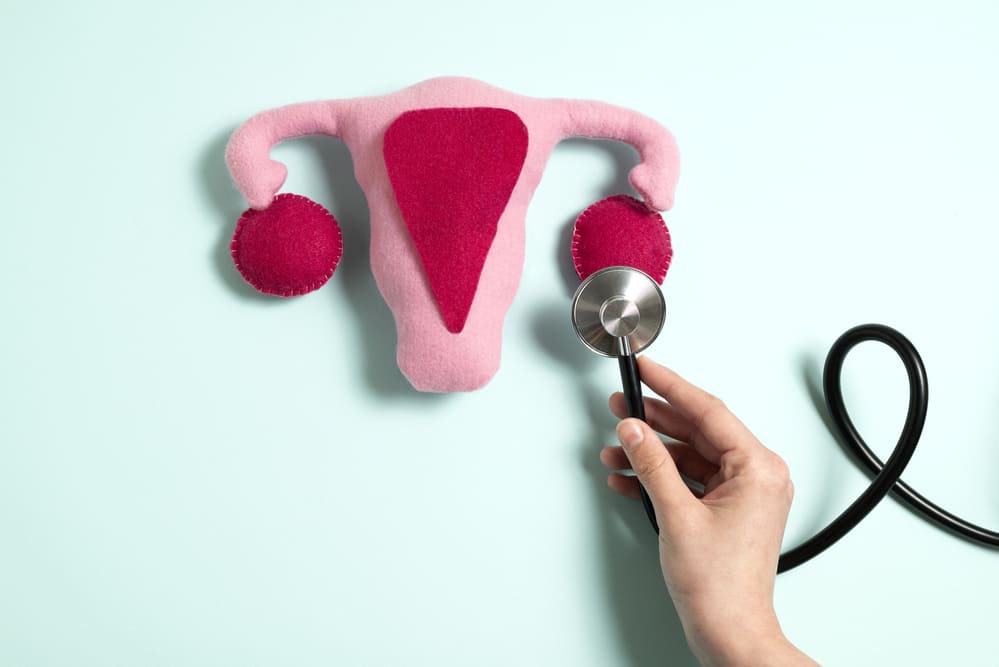 representation of female reproductive organs with a medical instrument